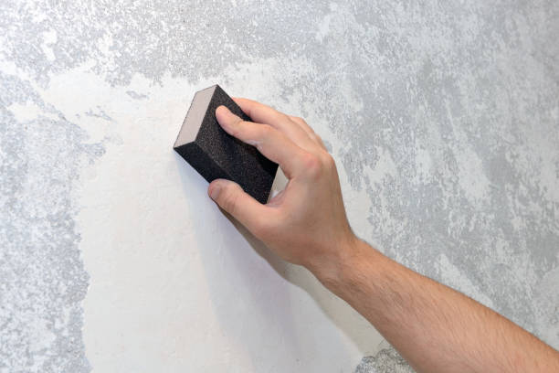 Best Black Mold Removal  in Heeia, HI