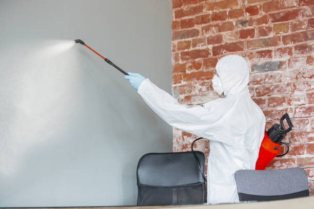 Best Attic Mold Removal  in Heeia, HI