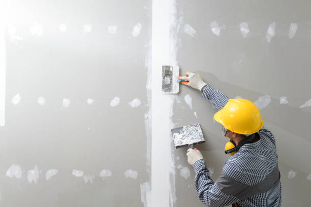 Trusted Heeia, HI Mold Removal Experts