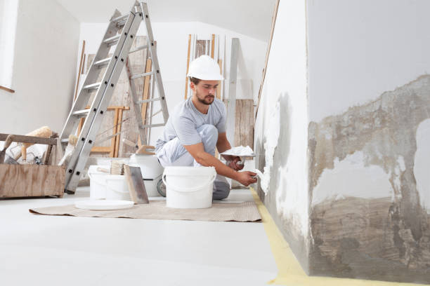 Best Crawl Space Mold Remediation  in Heeia, HI