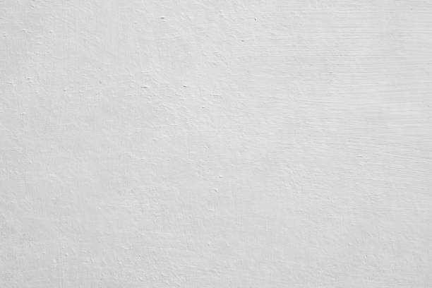 Best Basement Mold Removal  in Heeia, HI