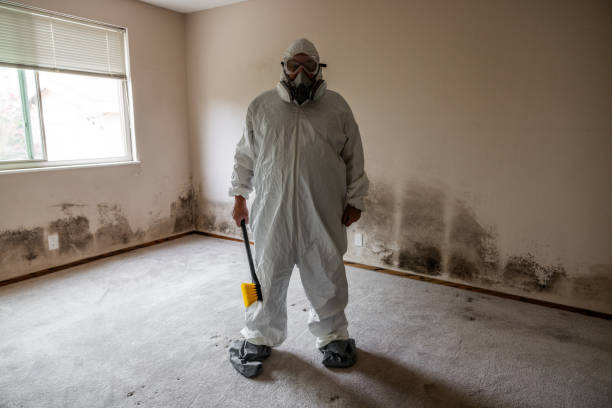 Best Crawl Space Mold Remediation  in Heeia, HI