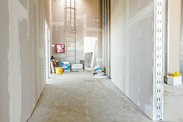 Mold Odor Removal Services in Heeia, HI