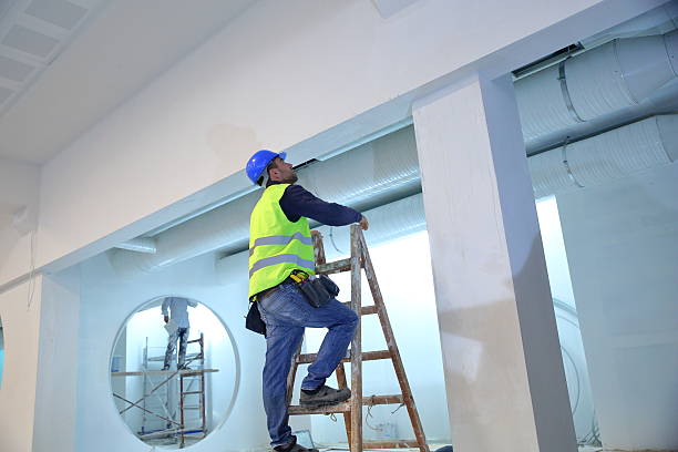 Best Environmental Consulting for Mold Prevention  in Heeia, HI